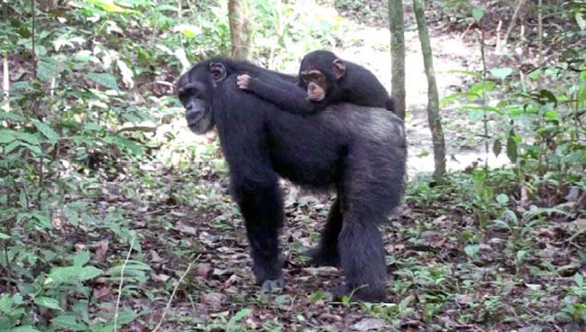 www.livescience.com
