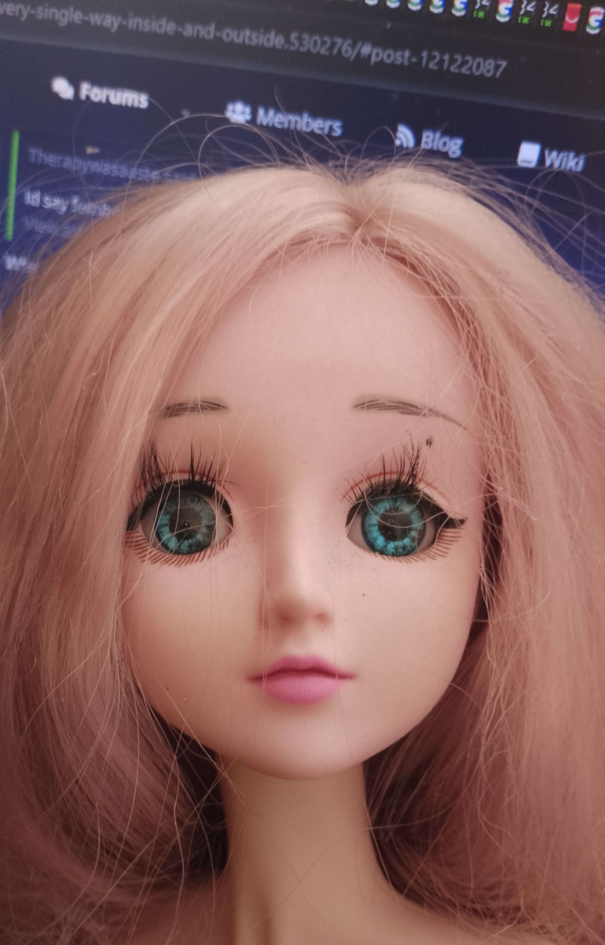 dolly