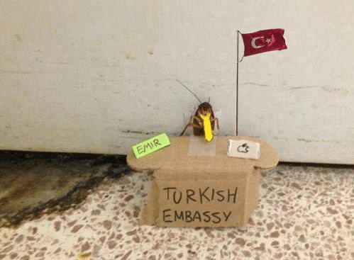 p1bkhdv7ax741.png
