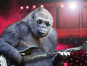 Gorilla with electric guitar looks like he could actually play it. | Monkey  pictures, Animals, Gorilla