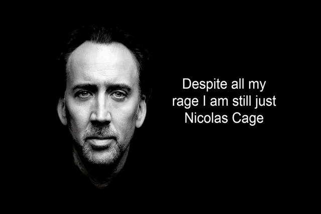 fabric-poster-custom-print-frame-available-actor-Nicolas-Cage-despite-all-the-rage-TRW021-wall-art.jpg_640x640.jpg