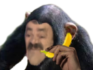 1496584704-risisingebanane.png
