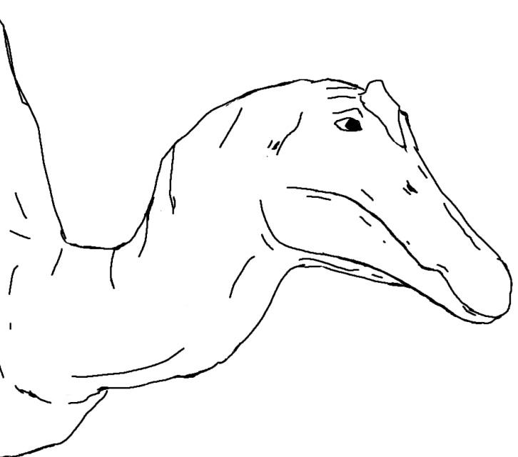 I made a spinosaurus wojak : r/Dinosaurs