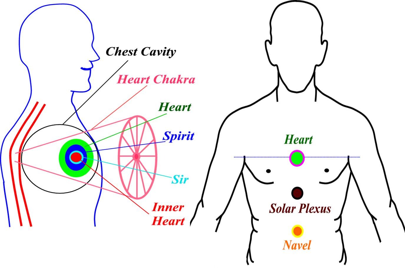 What is Our Heart? | Padmacahaya