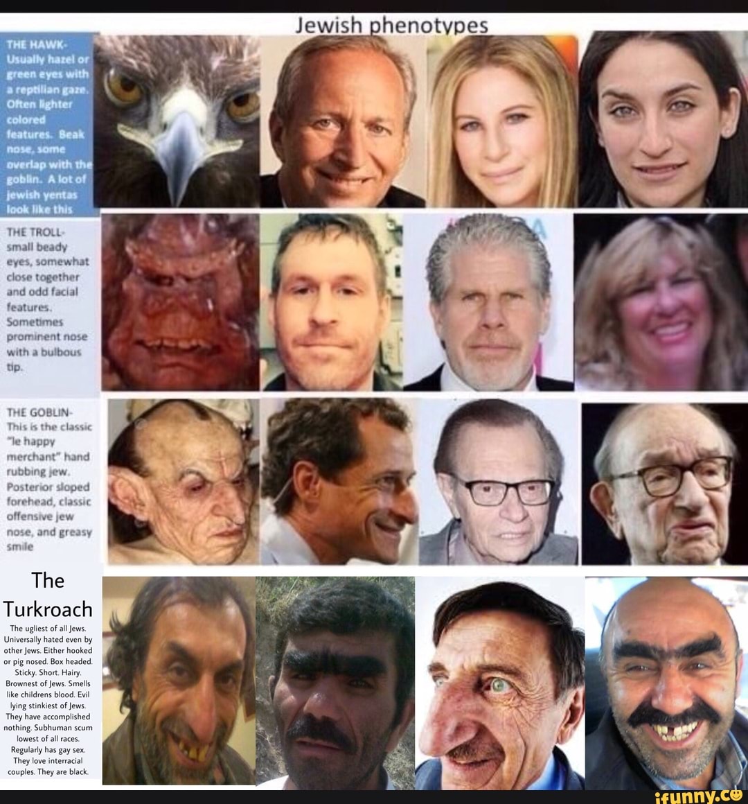 Jewish phenotypes The Turkroach The ugliest of all Jews. Universally hated  even by Brownest of Jews.
