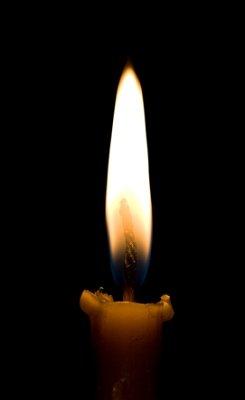 101681-245x400-Single_candle.jpg