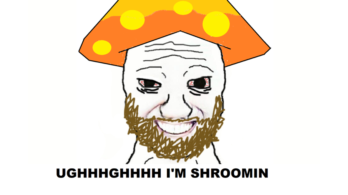 covershroomer.jpg