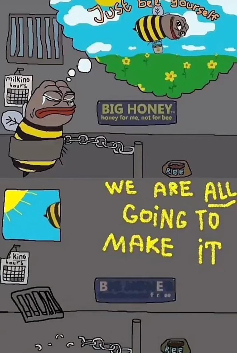 1744407593567308.jpg