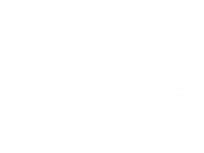 744d1d_46f101fc149942f2af390b9b40091c47~mv2.gif