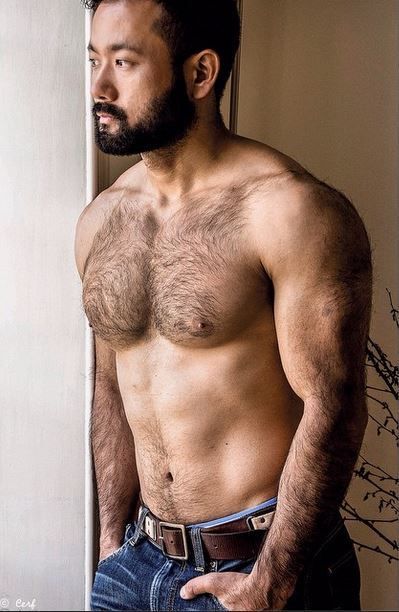 dc3968ea08aa9a7adb3bd7fb8aab7d7d--muscle-bear-hairy-chest.jpg