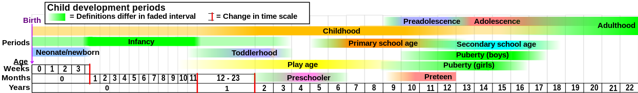 1245px-Child_development_stages.svg.png
