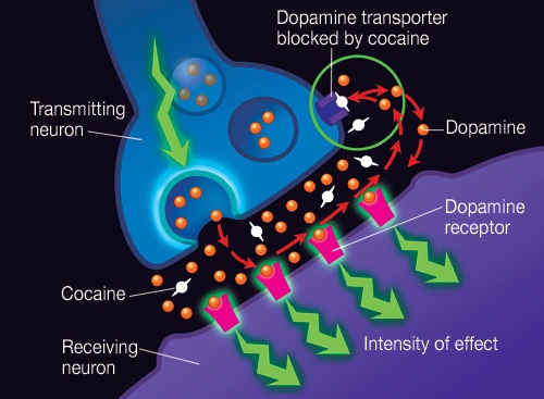 cocaine-addiction.jpg