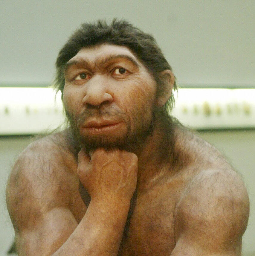 neanderthal-1-e1507613648358.jpg