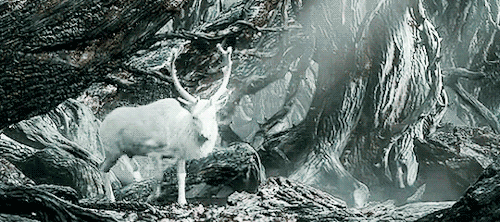 59c04a88e09828efb376388c89930b53.gif
