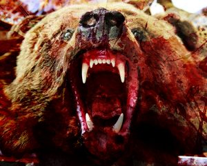 bloody-bear-300x241.jpg