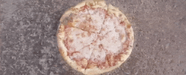 Watch a Swarm of Maggots Devour an Entire Pizza in Just 2 Hours, For  Science : ScienceAlert