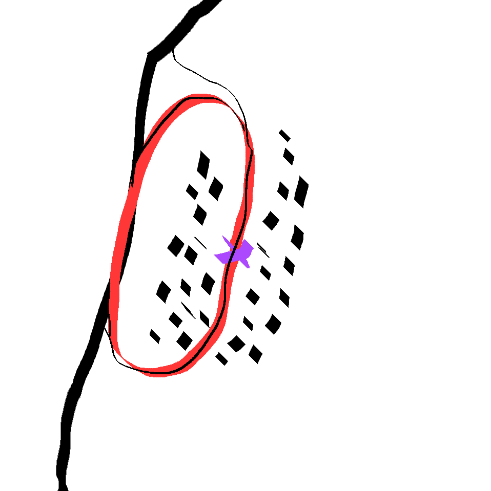 race.png