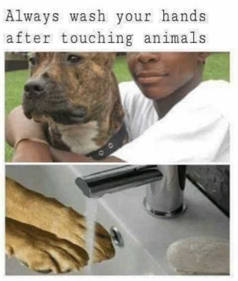 a44.png
