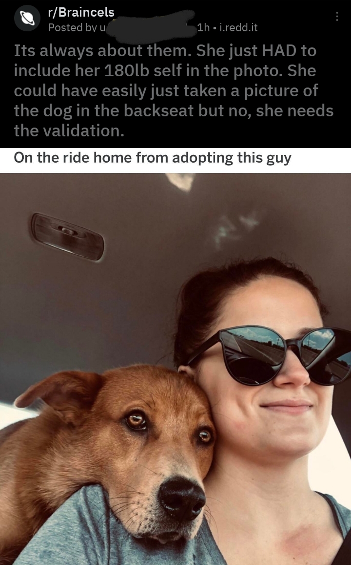 4rv5j2k39le31.jpg