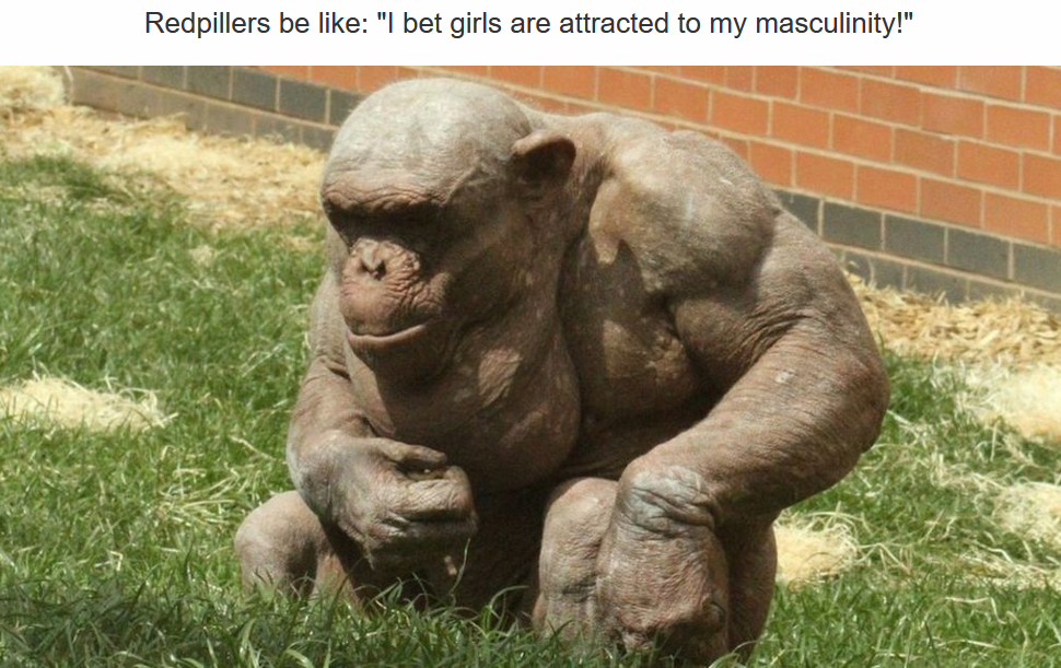 EL1LKII.png
