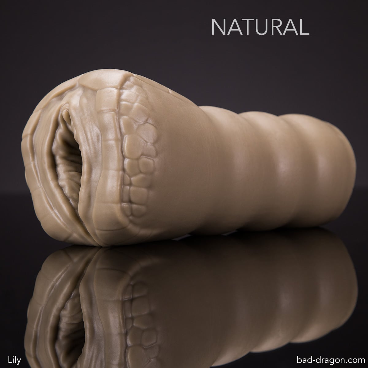 bad-dragon.com