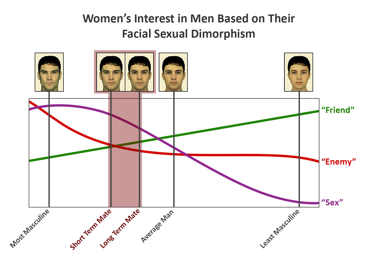 Facial-sexual-dimorphism.jpg