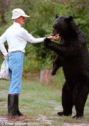 bear-lady.jpg