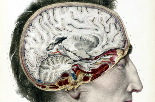 science.howstuffworks.com
