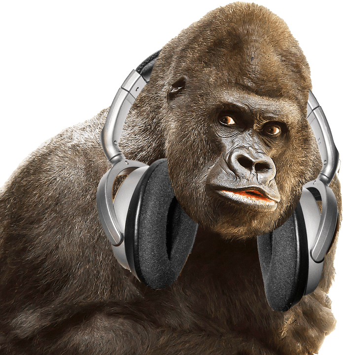 gorilla-headphones.png