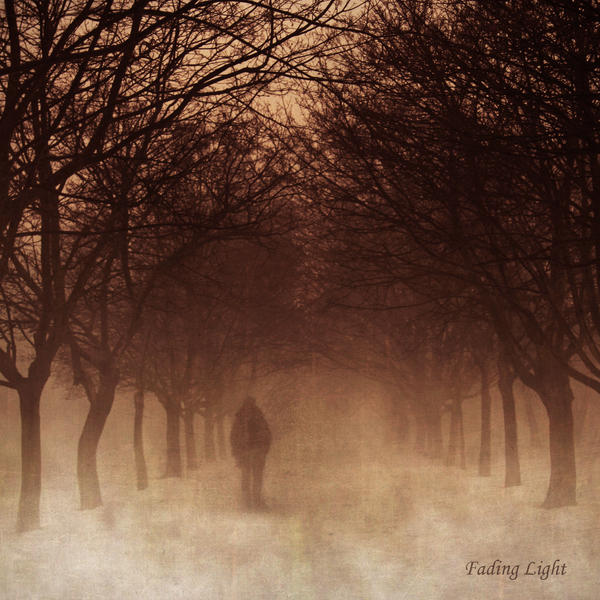 fading_light_by_day_light.jpg