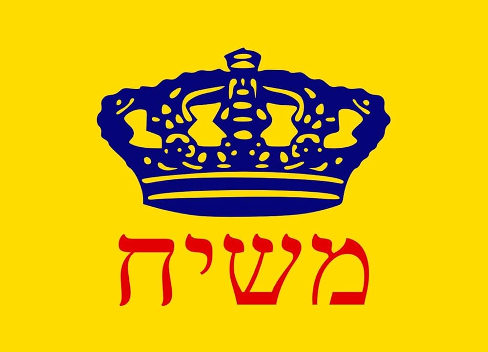 61zznjjPz+L._UF1000,1000_QL80_.jpg