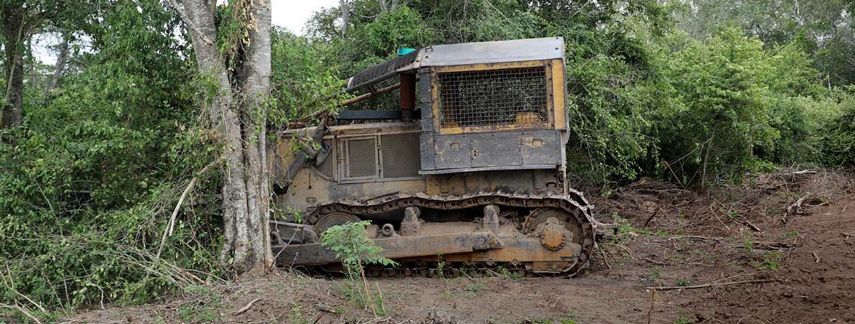 news.mongabay.com