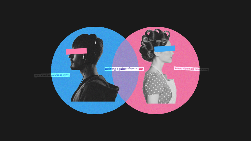 NWLC_Website_Blog_IncelsTradwives-1024x576.png