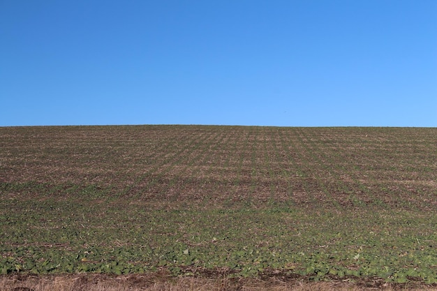 large-empty-field_824507-14126.jpg
