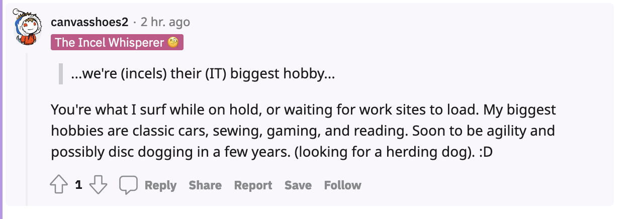 Canvasshoesdelusion.jpg