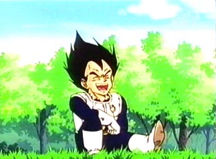 vegeta_laughsit.jpg