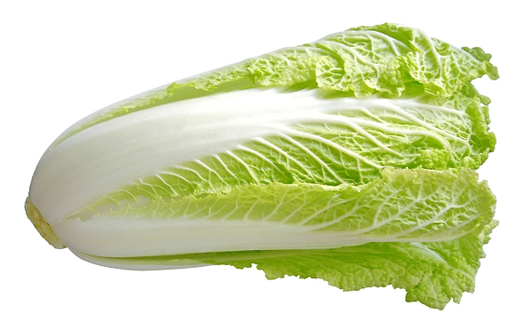 14l_pekinska.jpg