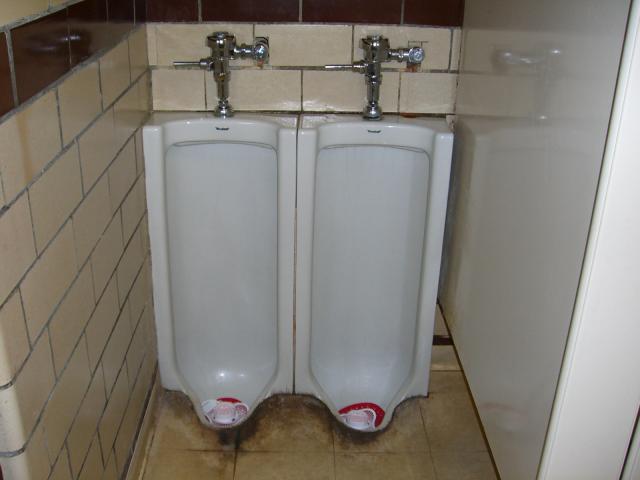 LindaUrinal001.med.jpg