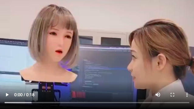 dsdollrobotics.com
