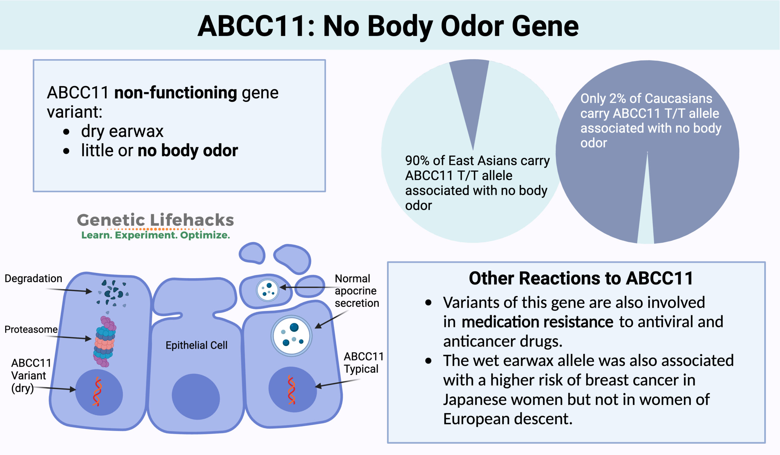 www.geneticlifehacks.com