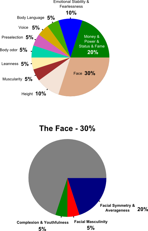 attraction-chart-41.png