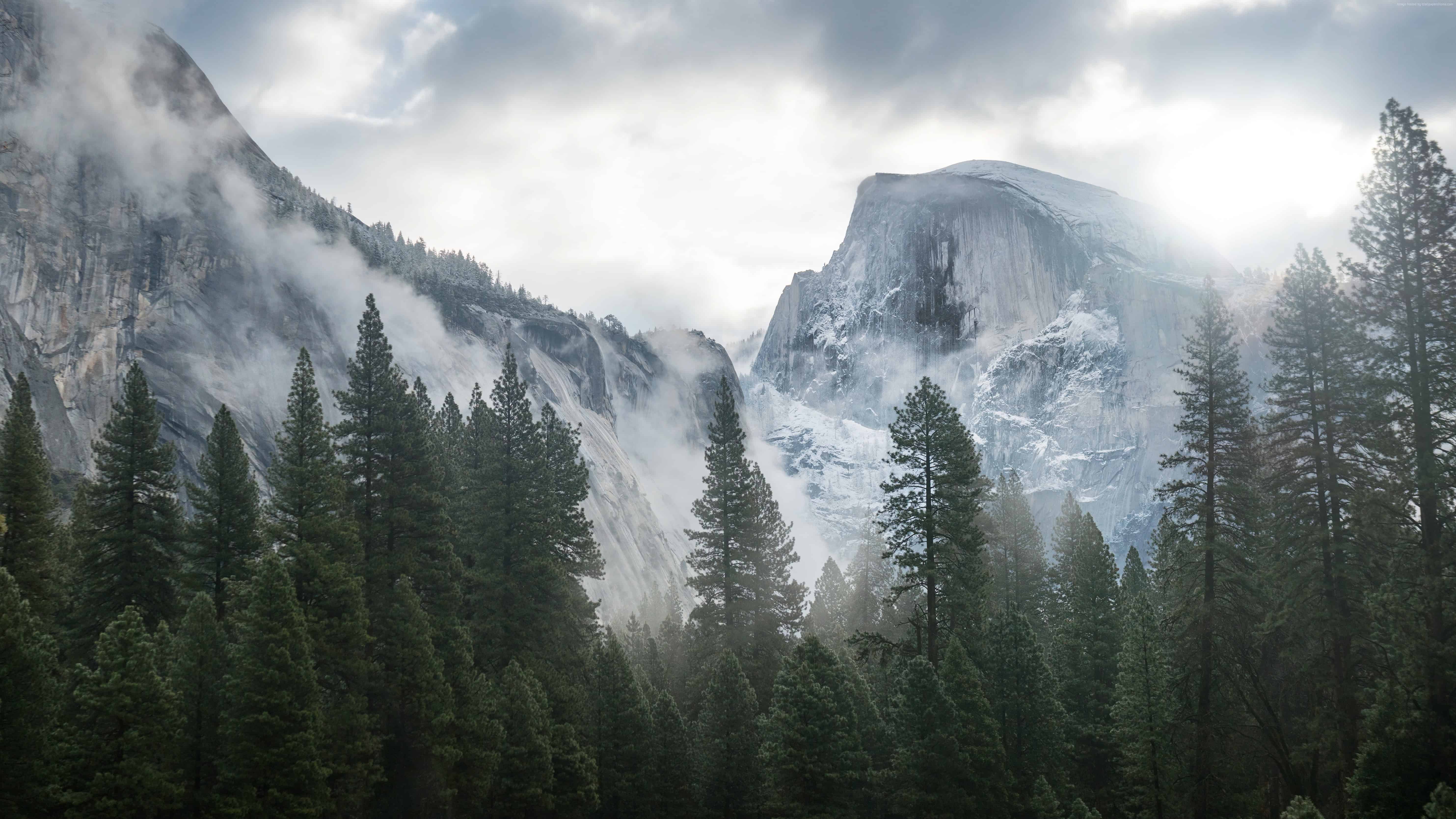 Wallpaper-8k-forest-osx-apple-mountains.jpg