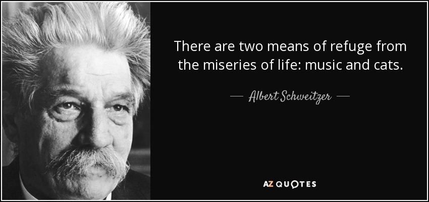 quote-there-are-two-means-of-refuge-from-the-miseries-of-life-music-and-cats-albert-schweitzer-26-31-54.jpg