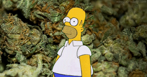 Wut GIF - Trees Simpsons Weed - Discover & Share GIFs