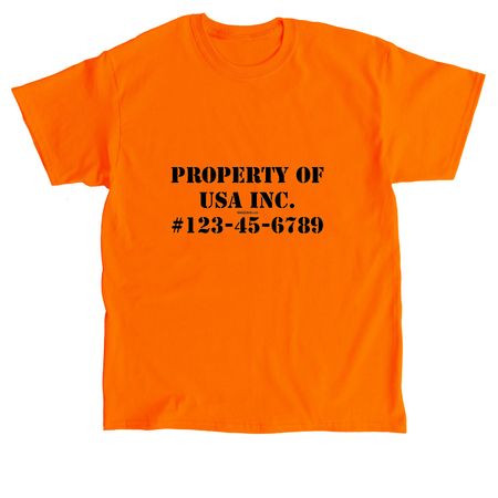 Property of USA Inc, a Orange Classic Unisex Tee