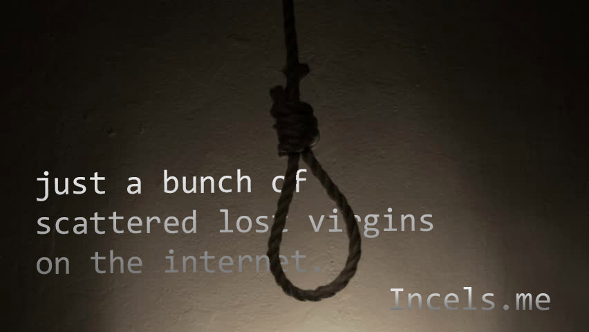 Mu7W1f5.jpg