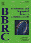 www.sciencedirect.com