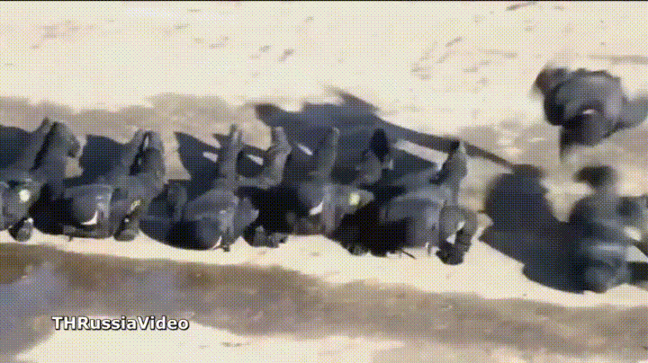 Training Spetsnaz GIF - Find & Share on GIPHY