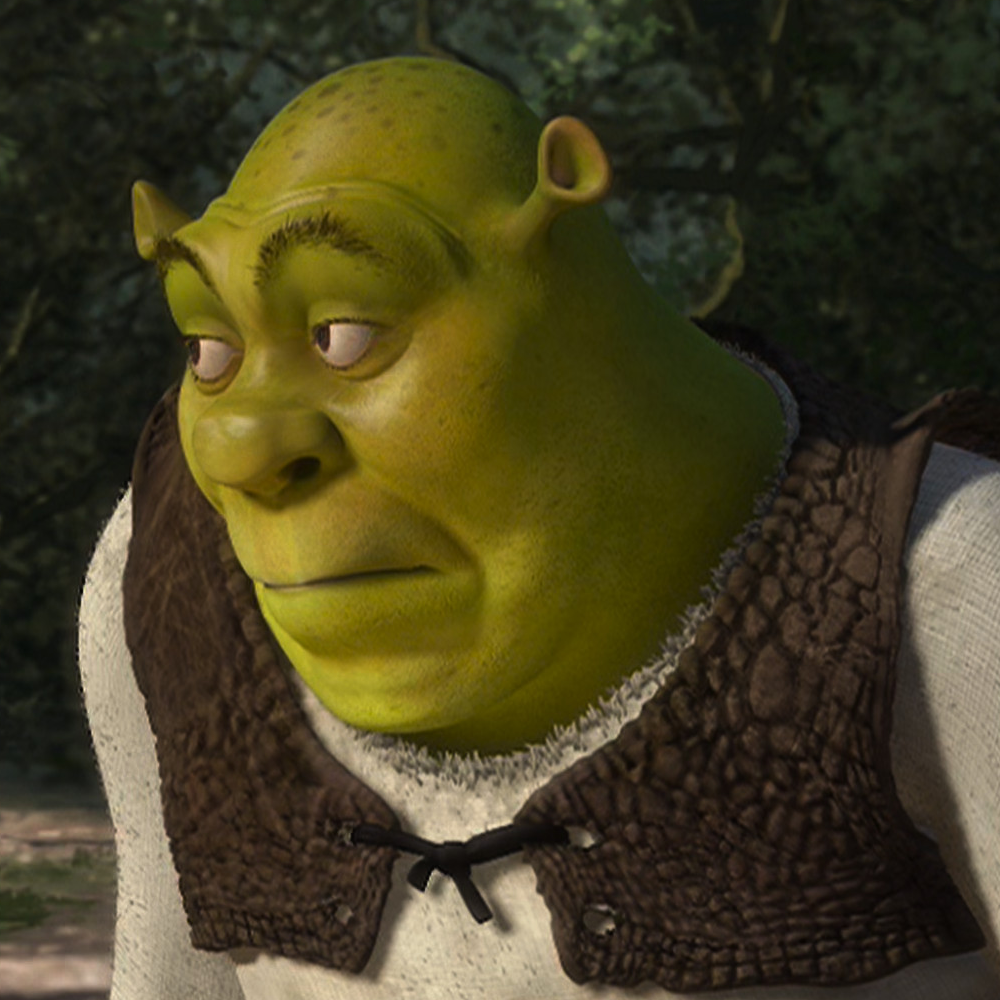 Shrek's funny face [1000x1000] : r/MemeRestoration