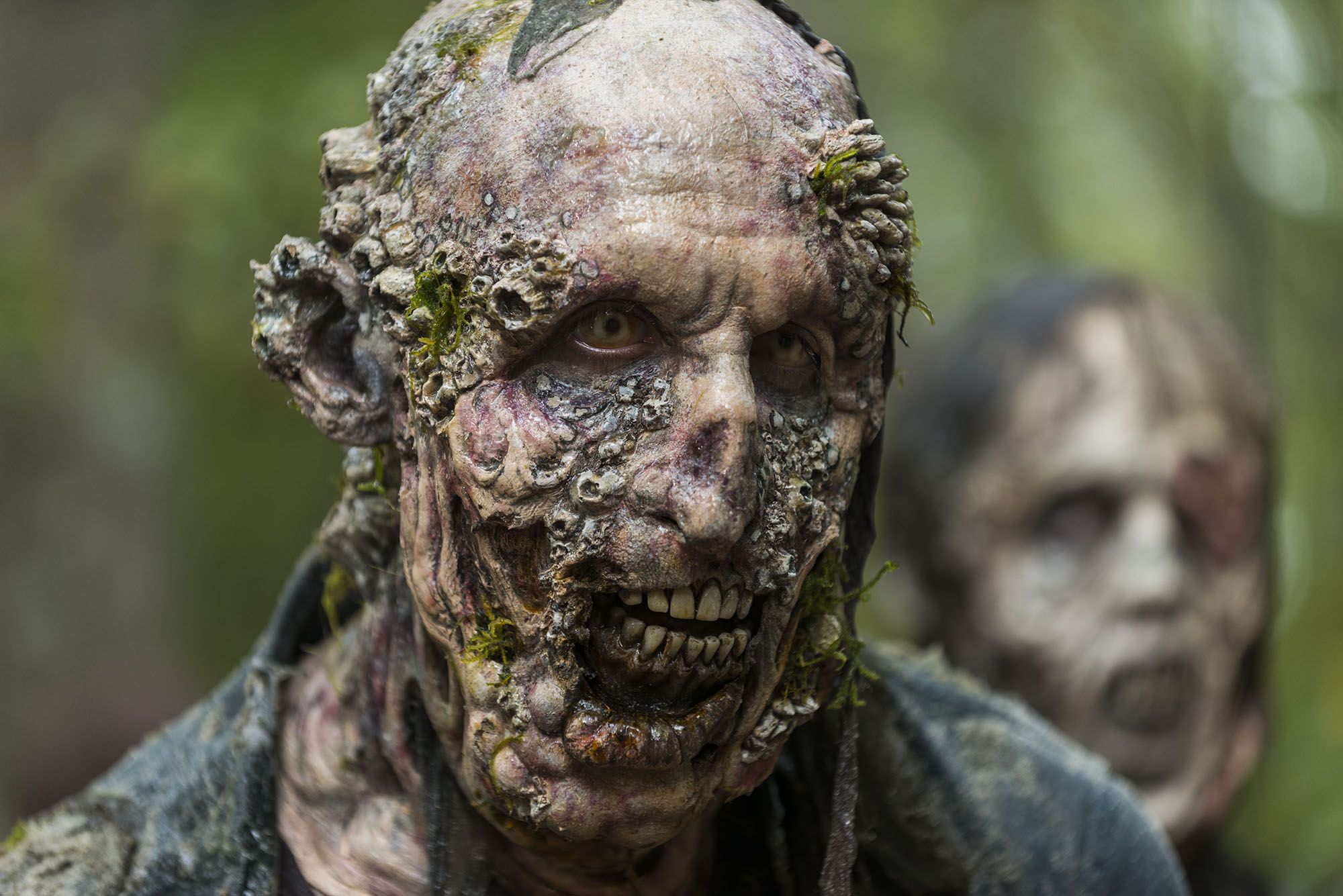 1493218345-walkingdead16.jpg